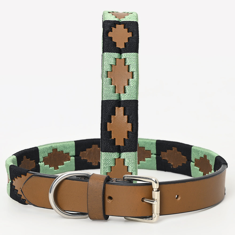 BEG101-Western Leather Dog Collar