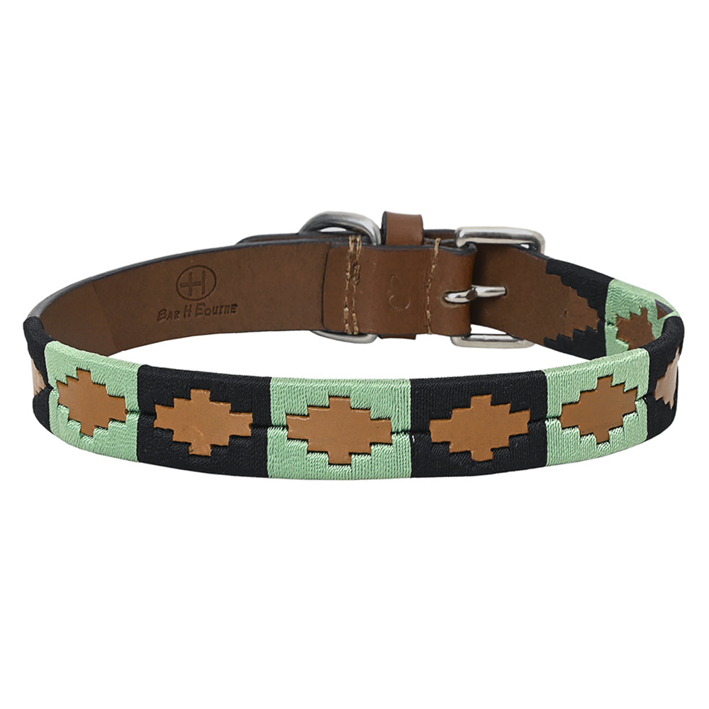 BEG101-Western Leather Dog Collar
